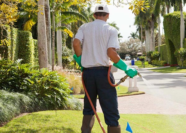 About Watsonville CA Pest Control